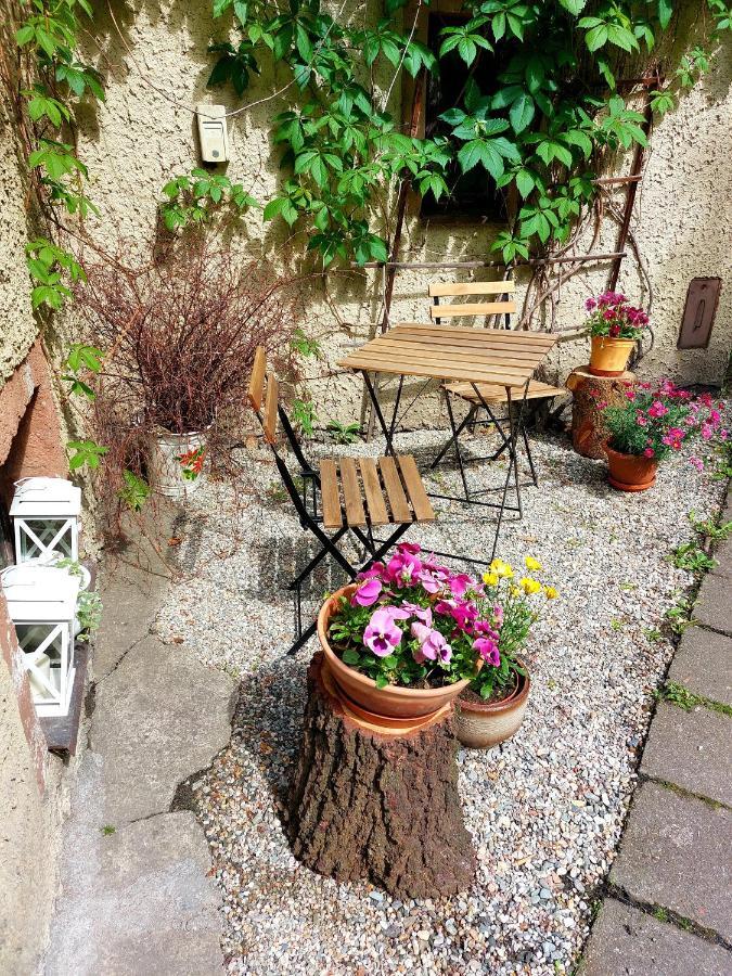 Chalupa pod stromy Kovářská Exteriér fotografie